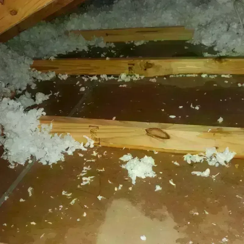 Attic Water Damage in Nipomo, CA