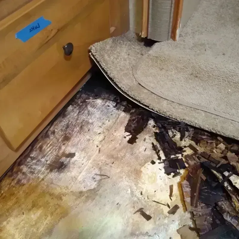 Best Wood Floor Water Damage Service in Nipomo, CA